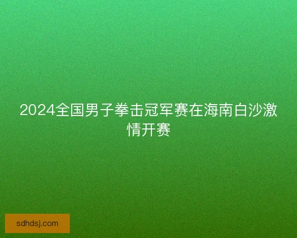 2024全国男子拳击冠军赛在海南白沙激情开赛