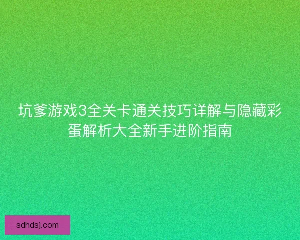 坑爹游戏3全关卡通关技巧详解与隐藏彩蛋解析大全新手进阶指南