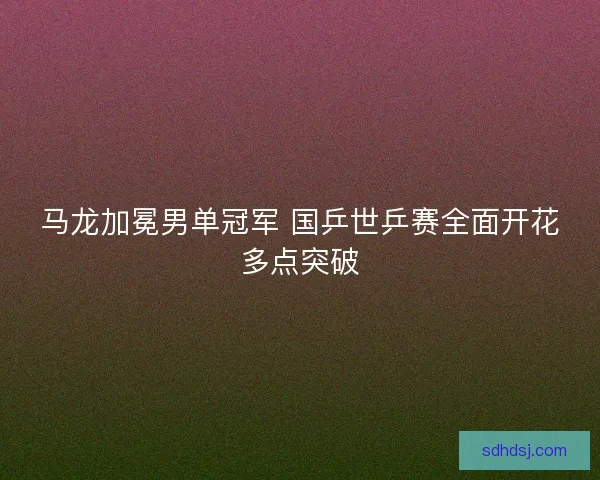马龙加冕男单冠军 国乒世乒赛全面开花多点突破