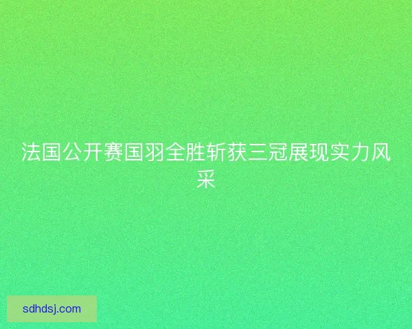 法国公开赛国羽全胜斩获三冠展现实力风采