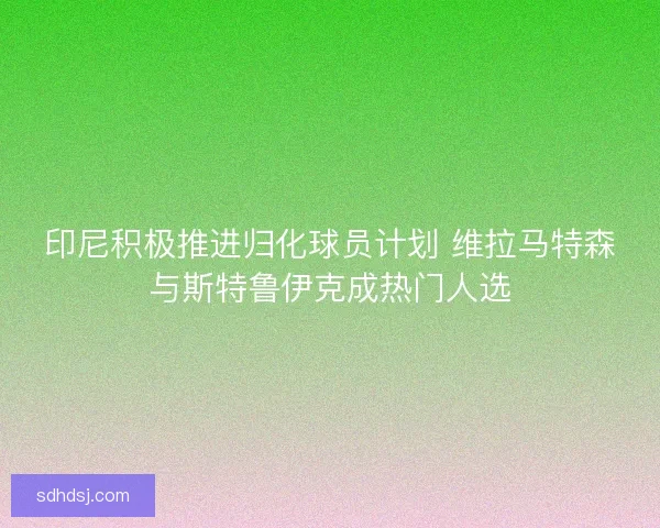 印尼积极推进归化球员计划 维拉马特森与斯特鲁伊克成热门人选